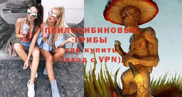 гашик Алексеевка