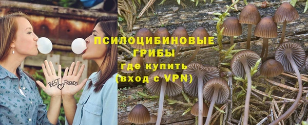 меф Алексин
