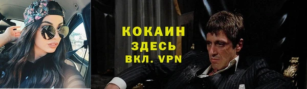 гашик Алексеевка