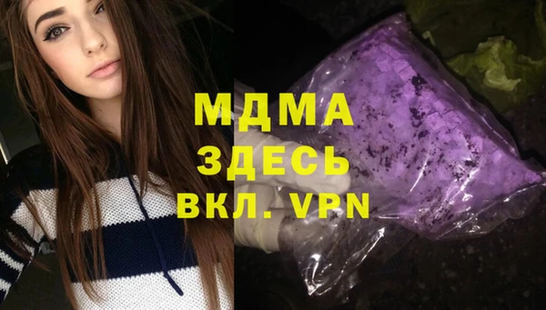 гашик Алексеевка