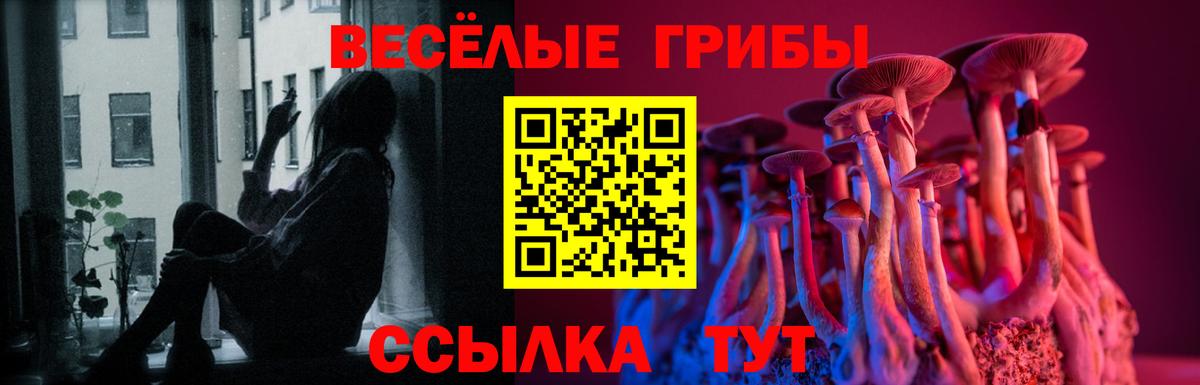 Псилоцибиновые грибы Psilocybine cubensis  Вход с VPN  Бердск 